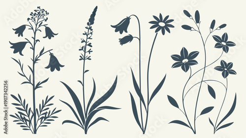 Elegant Botanical Silhouettes Wildflower Set for Vintage Wedding Invitations Rustic Branding and Nature Decor Design