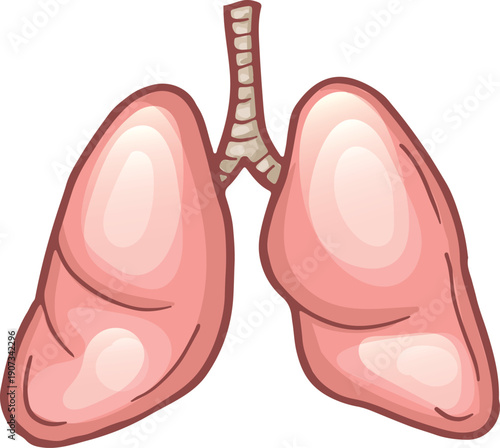 Human lungs. Healthy organ medical cartoon icon