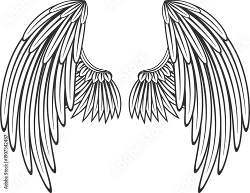 Angel wings tattoo. Elegant feather line drawing