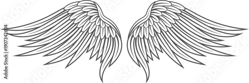 Bird wings tattoo. Animal feathers in engraving style