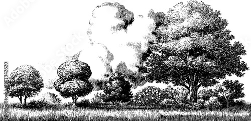 Vintage botanical engraving of nature's balance and weather forces