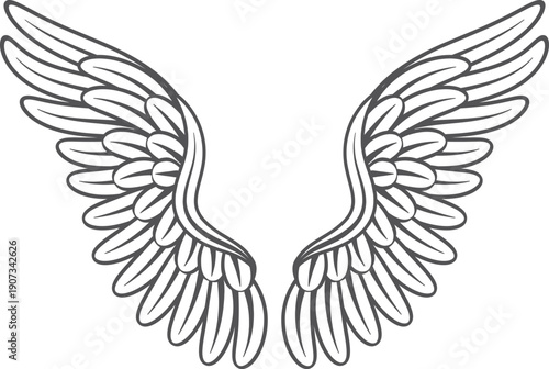Wings drawing. Holy symbol insignia. Angel feathers