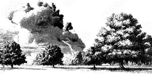 Vintage weather phenomena botanical engraving poster for decorative design