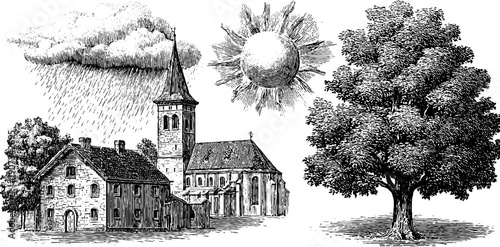 Vintage weather phenomena and botanical chart for educational display
