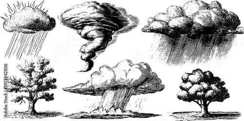 Vintage botanical engravings of weather phenomena for artistic design