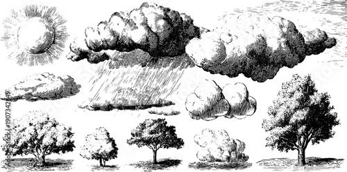 Vintage botanical engraving of minimal weather symbols and trees for nature design