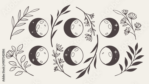 Celestial Moon Phases Botanical Wreath Design for Mystical Branding Spiritual Wellness Tarot Reading Packaging