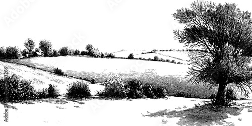 Winter allegory minimal landscape mood with vintage botanical elements for artistic design