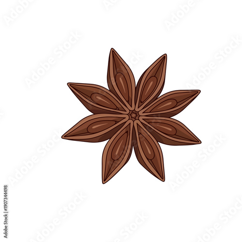 Star Anise Spice Flat Vector Illustration