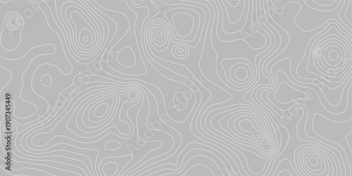Motif de courbes topographiques grises pour habillage graphique et décoration moderne en relief linéaire