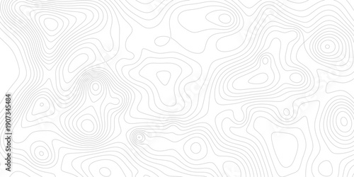 Motif de courbes topographiques grises pour habillage graphique et décoration moderne en relief linéaire