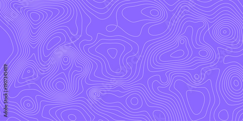 Motif de courbes topographiques grises pour habillage graphique et décoration moderne en relief linéaire