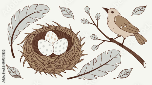 Bird Nest with Eggs and Feathers Rustic Spring Illustration for Nature Web Design or Easter Holiday Backgrounds