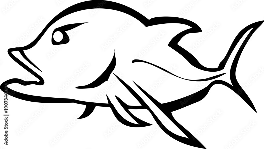 Obraz premium vector illustration of saltwater fish with black lines and white background