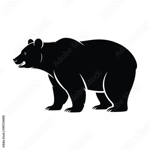 Black bear standing on all fours with transparent background wildlife animal mammal d