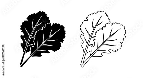 Black and white vector kale leaves icon set, healthy vegetable food illustration isolated on white