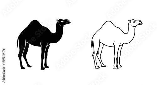 Black camel silhouette and outline vector icon set, desert animal symbol, isolated on white