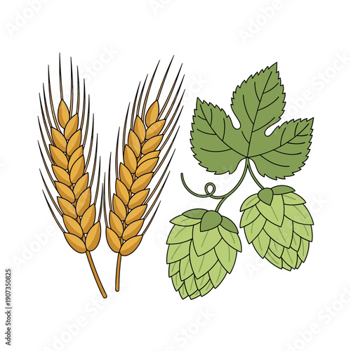 Wheat ears and hop cones illustrated in vibrant colors  