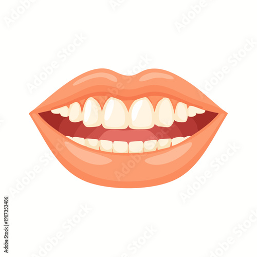 Illustration of open human mouth with teeth and red gums, top and bottom row, dental health, oral hygiene
