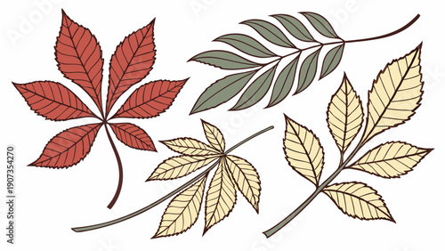 Autumn Fall Foliage Leaves Set Seasonal Botanical Design Elements for Harvest Decor Web Graphics and Print Projects