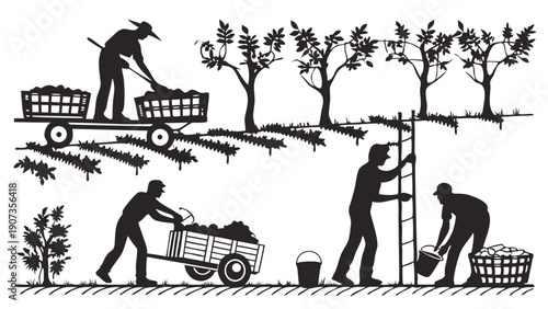 Grape Harvest Silhouettes Farmers Picking Ripe Fruit for Autumn Wine Production Vineyard Labor Scene