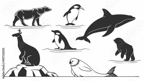 Arctic Wildlife Collection Polar Bear Penguin Seal Orca Illustration for Nature Education and Winter Themed Design Projects