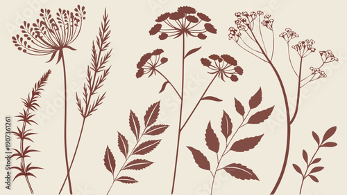 Elegant Botanical Line Art Set Wildflowers Herbs for Rustic Wedding Invitations Branding Packaging Design