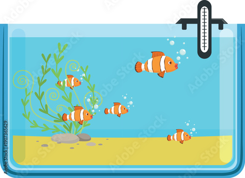 Clown fishes in aquarium. Cartoon saltwater fauna decoration