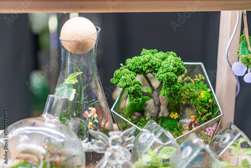 Foto A shelf with various plant potions, showcasing a vibrant and exotic collection o