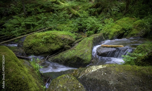 Lohnbachfall, Pretrobruck, Rappottenstein, Lower Austria, Austria
