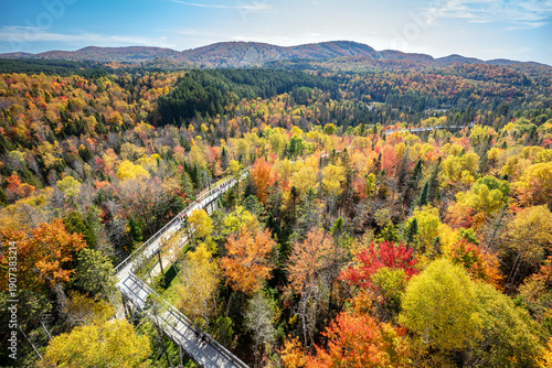 Elevated Boardwalk Through Autumn Forest at Sentier des Cimes in Laurentian Mountains, Quebec Canada