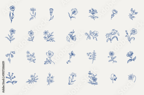Flowers of the meadow. Set. Vintage vector floral illustration. Small flowers. Blue and white