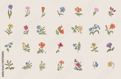 Flowers of the meadow. Set. Vintage vector floral illustration. Small flowers. Colorful