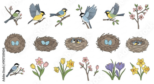Birds nests and flowers illustration set with spring blooms