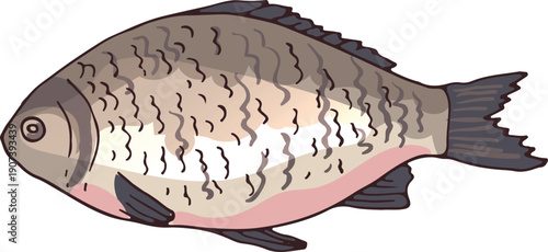 River fish color icon. Bream cartoon drawing