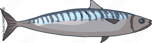 Mackerel cartoon icon. Ocean fish. Aquatic fauna