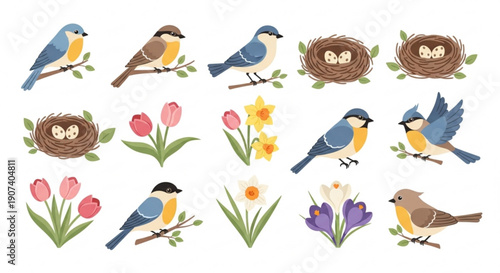 Colorful birds nests and flowers illustrations set