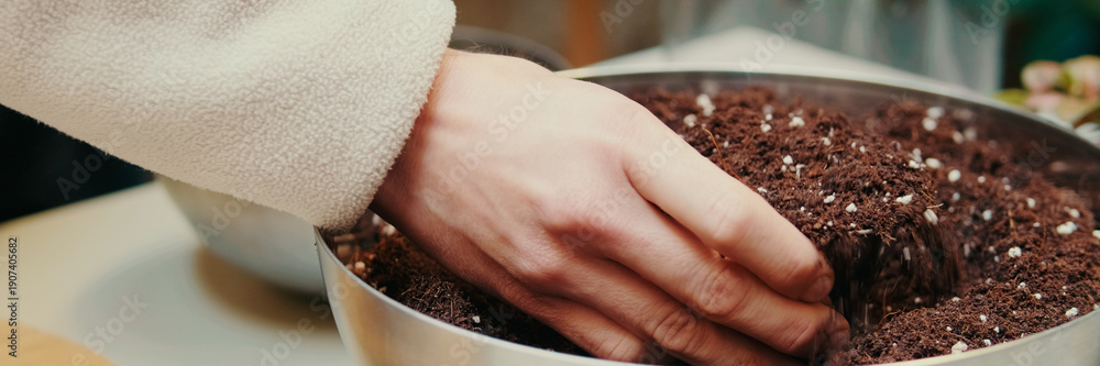 custom made wallpaper toronto digitalNutritious substrat for transplanting houseplants into a glass terrarium, preparation for planting succulents. Panoramic