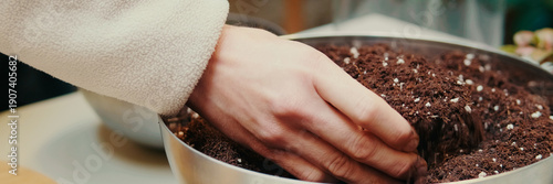 Wallpaper Mural Nutritious substrat for transplanting houseplants into a glass terrarium, preparation for planting succulents. Panoramic Torontodigital.ca