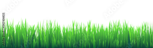 Meadow silhouette with green grass, plants on plain. Panoramic summer lawn landscape with herbs, various weeds. Herbal border, frame element. Black horizontal banners. Vector illustration