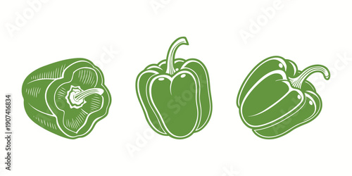 Green Bell Pepper Vector Illustration Isolated on White Background, Capsicum Vegetable Silhouette