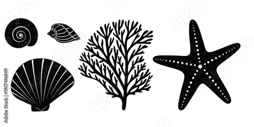 Sea Shells and Coral Vector Set Isolated on White Background, Marine Silhouette Collection,