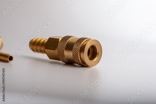 Tableau sur toile Heavy-duty brass one-way check valve with threaded connectors for industrial air