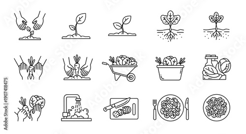 Collection of 14 detailed black and white line drawings illustrating plant growth and gardening tools