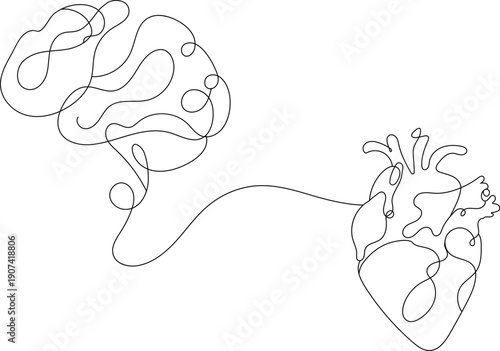 Anatomical illustration of the human brain and heart connected