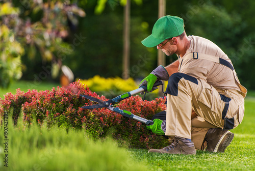 Gardener Trims Bushes in a Green Park