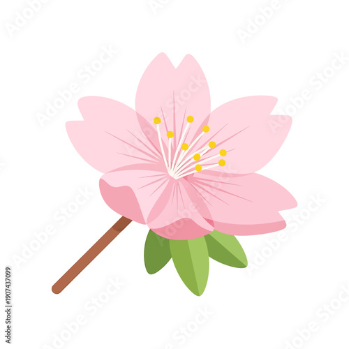 A colorful illustration of a blooming pink flower, showcasing delicate petals and stamens in a simple vetcor style.