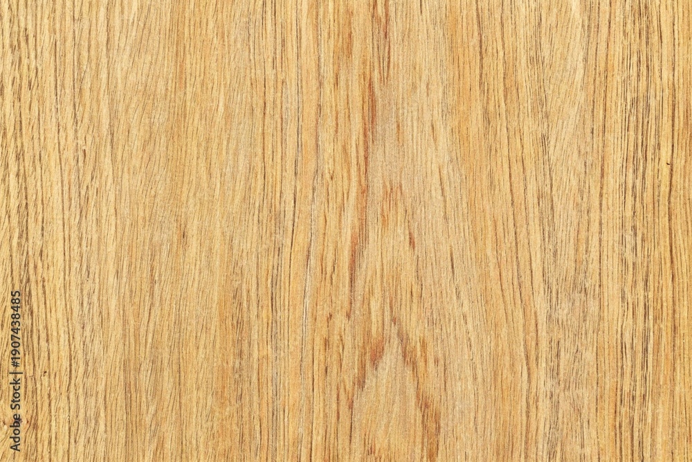 Naklejka premium Natural light golden oak wood grain texture background