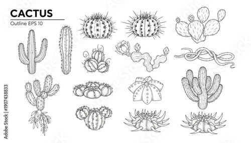 Collection of various cactus illustrations in different shapes and sizes.