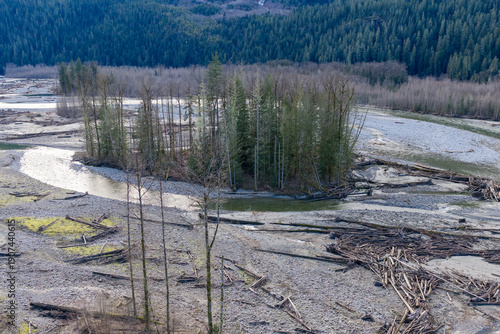 Isolated Tree Island In Shallow Riverbed With Driftwood And Logs In BC, Canada Wilderness